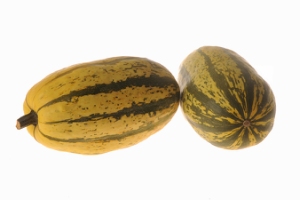 Stripetti Winter Spaghetti Winter Squash Squash Products Vegetables Rupp Seeds Stripetti Winter Spaghetti Winter Squash Squash Products Vegetables Rupp Seeds