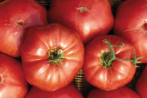 Brandywine Pink Tomato, Heirloom Vegetable
