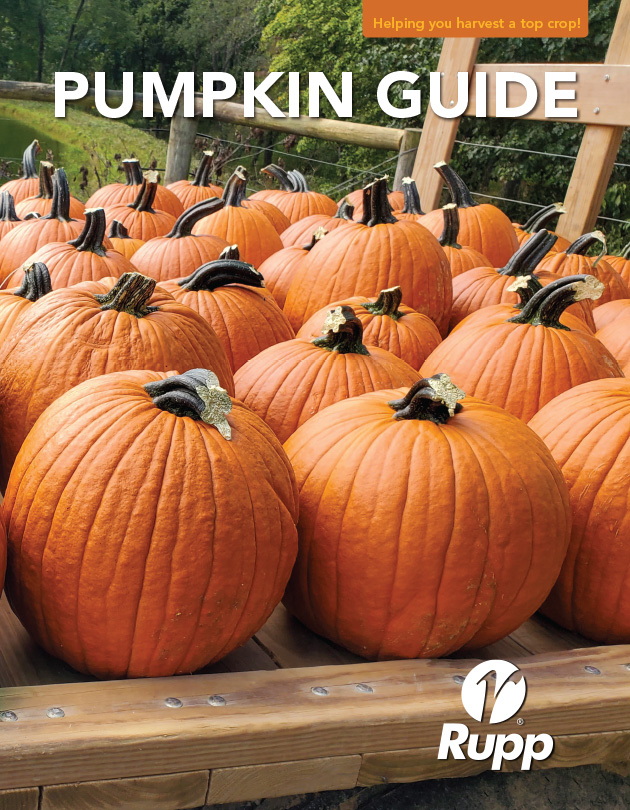 Pumpkin Guide Cover Image