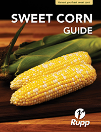 Sweet Corn Guide Cover Image