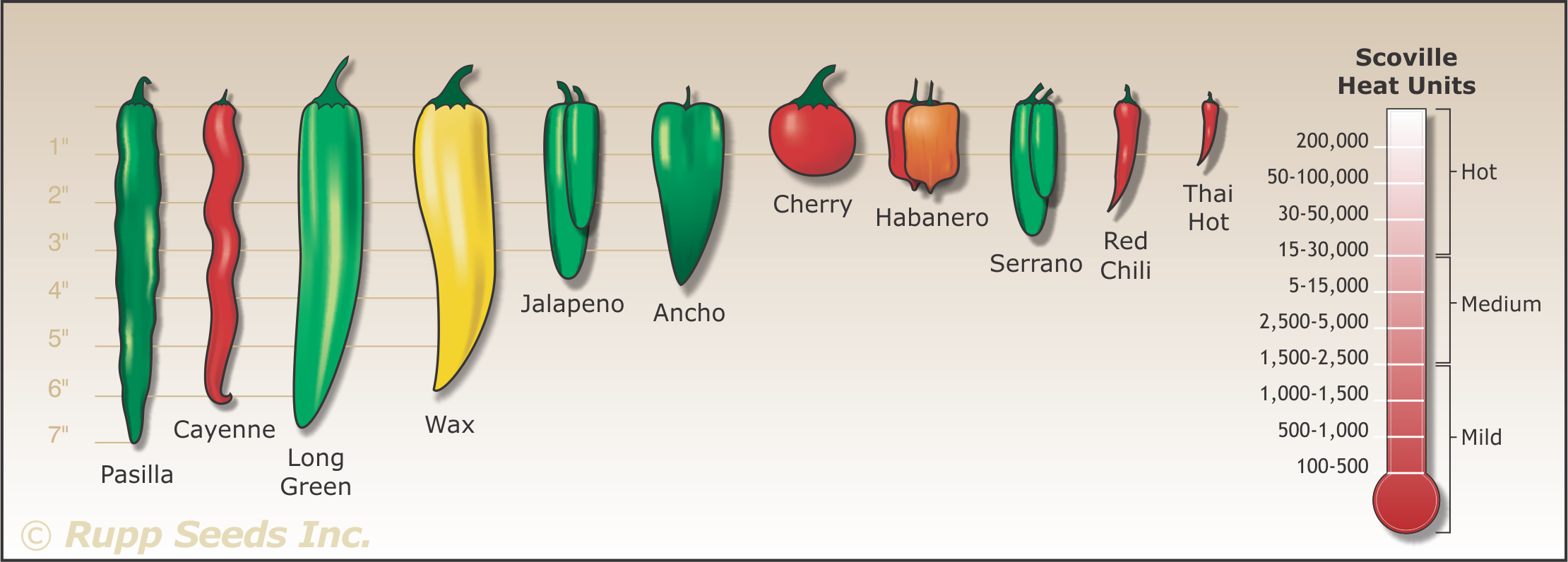 Pepper Chart With Pictures