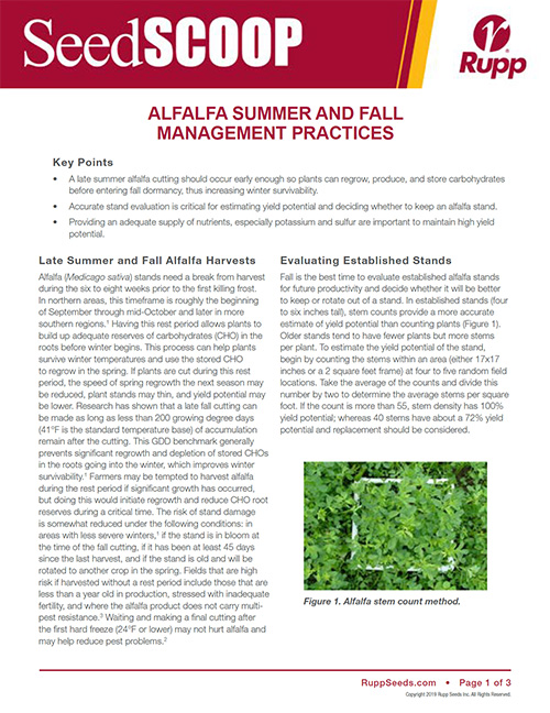 Screen shot image of SeedSCOOP publication discussing alfalfa management practices for summer and fall crop.