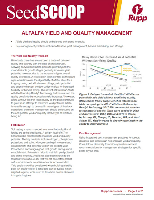Screen shot image of SeedSCOOP publication discussing alfalfa yield and quality management.