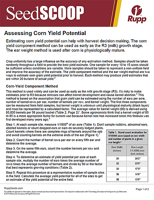 Screen shot image of SeedSCOOP publication discussing assessing corn yield potential.