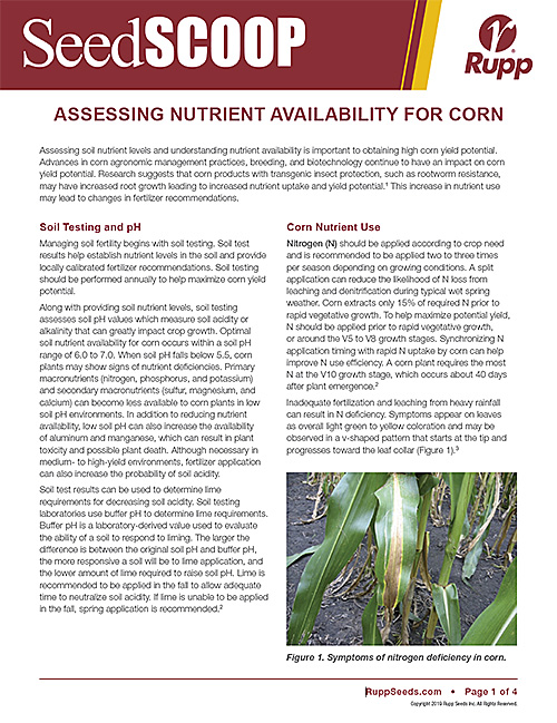 Screen shot image of SeedSCOOP publication discussing assessing nutrient availability for corn.