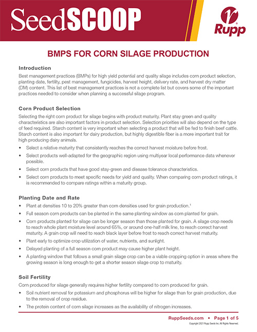Screen shot image of SeedSCOOP publication discussing best management practices for corn silage production.