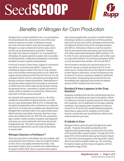 Screen shot image of SeedSCOOP publication discussing the benefits of nitrogen for corn production.