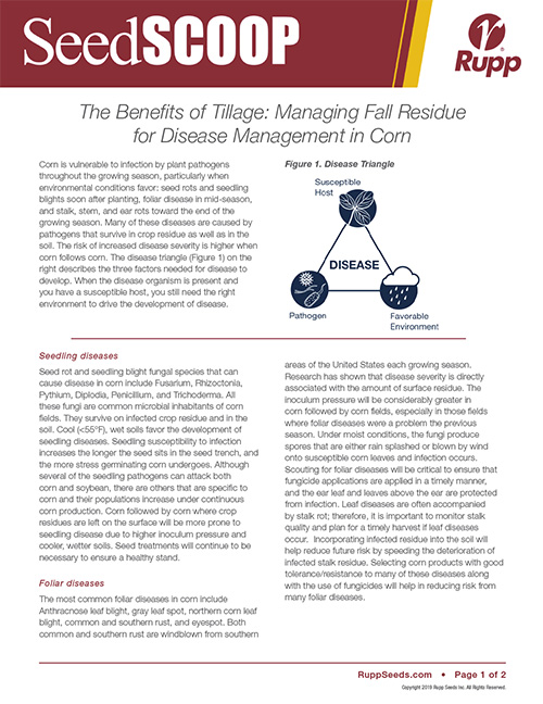 Screen shot image of SeedSCOOP publication discussing the benefits of tillage for managing disease in corn.