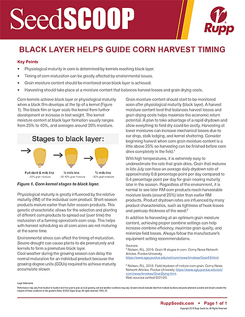 Screen shot image of SeedSCOOP publication discussing how the black layer helps guide corn harvest timing.