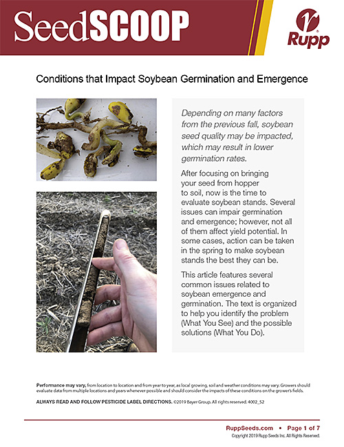 Screen shot image of SeedSCOOP publication discussing conditions that impact soybean germination and emergence.