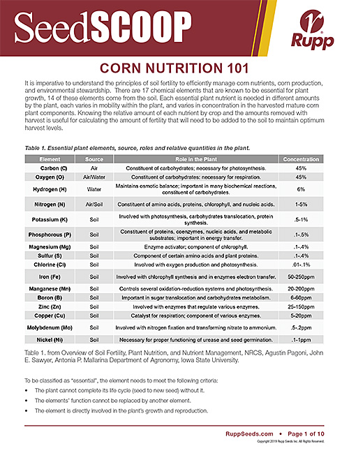 Screen shot image of SeedSCOOP publication discussing Corn Nutrition 101.