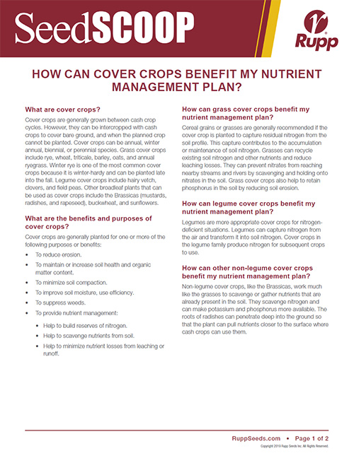 Screen shot image of SeedSCOOP publication discussing how cover crops can benefit your nutrient management plan.