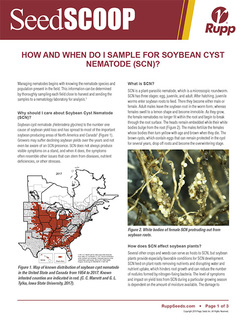 Screen shot image of SeedSCOOP publication discussing how and when to sample for soybean cyst nematode.