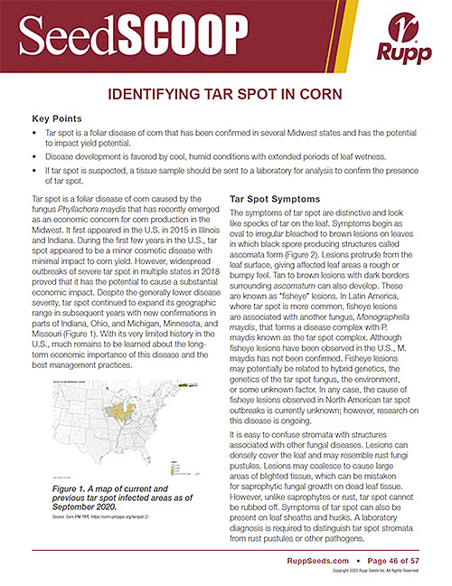 Screen shot image of SeedSCOOP publication discussing the identification of tar spot in corn.