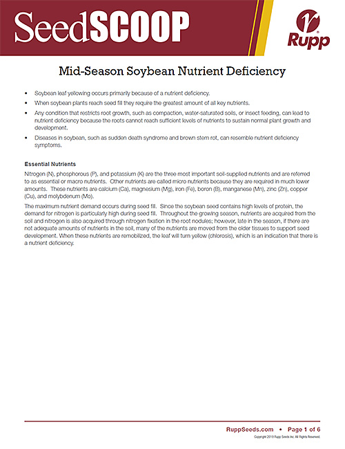 Screen shot image of SeedSCOOP publication discussing nutrient deficiency in soybeans.