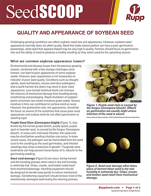Screen shot image of SeedSCOOP publication discussing the quality and appearance of soybean seed.