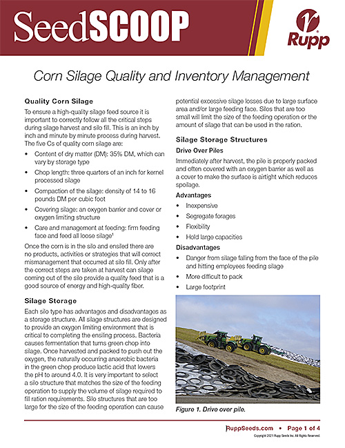 Screen shot image of SeedSCOOP publication discussing corn silage quality and inventory management.