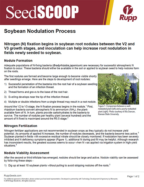 Screen shot image of SeedSCOOP publication discussing the soybean nodulation process.