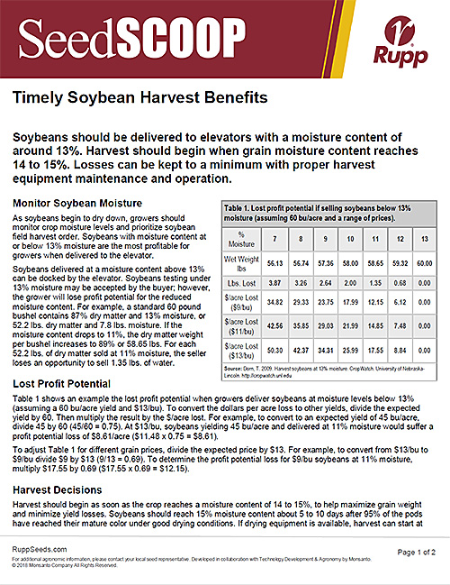 Screen shot image of SeedSCOOP publication discussing the benefits of timely soybean harvest.