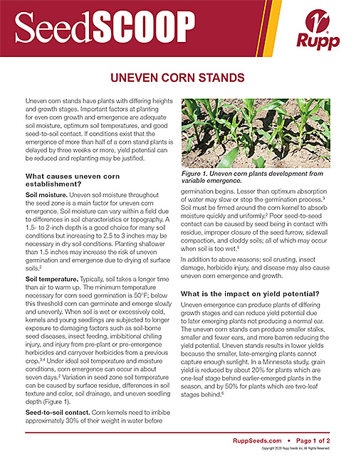 Screen shot image of SeedSCOOP publication discussing uneven corn stands.