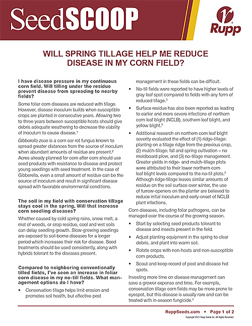 Screen shot image of SeedSCOOP publication discussing if spring tillage will help reduce disease in your corn fields.  