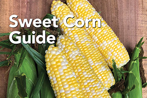 Cover of the Rupp Seeds Sweet Corn Guide