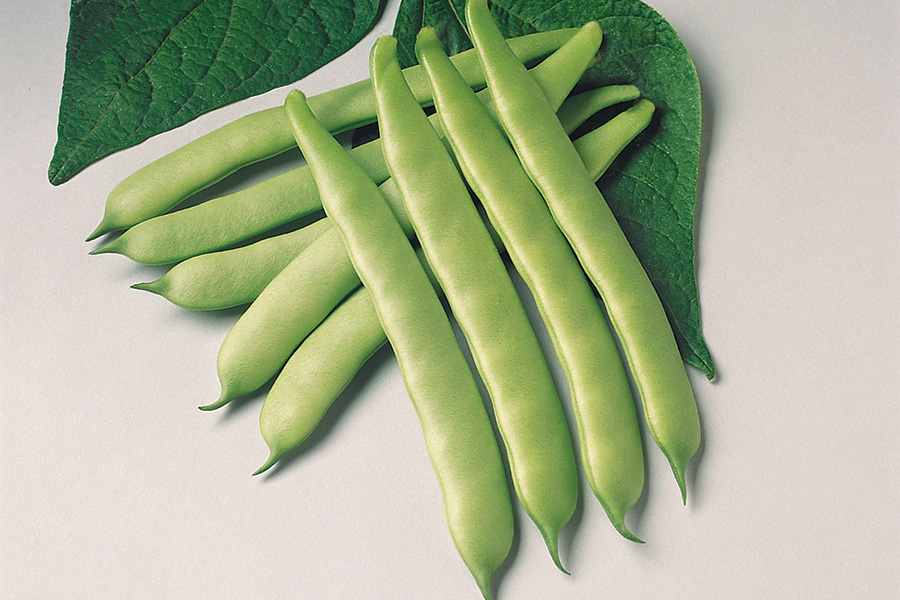 https://www.ruppseeds.com/Files/Images/Products/Vegetables/Beans/Furano.jpg