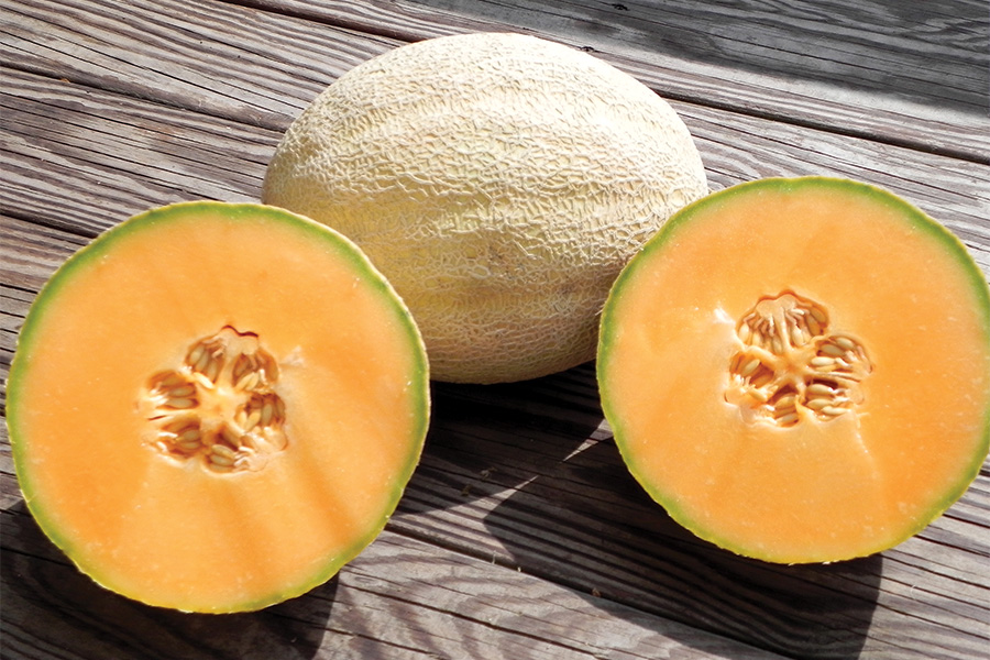 Cleopatra | Cantaloupe | Melons | Products | Vegetables | Rupp Seeds
